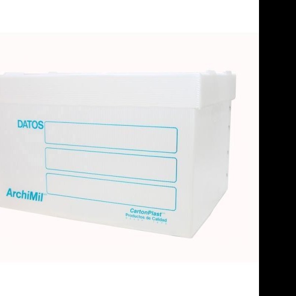CAJA ARCHIVO PLAST. CTA. ARCHIMIL 38.5X31X25 CMS. E.25